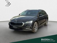Gebraucht Skoda Octavia Ambition 150 PS (110 kW) 2023 Blackmagic perleffekt Kombi