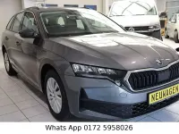 Neu Skoda Octavia Selection 116 PS (85 kW) 2026 Grau Limousine