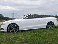Gebraucht Audi S5 Cabriolet Design 333 PS (244 kW) 2011 Weiß Cabrio