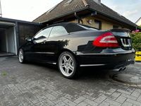 gebraucht Mercedes CLK55 AMG AMG Cabrio designo ***TOP***