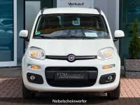 Gebraucht Fiat Panda Lounge 69 PS (50 kW) 2015 Weiß Kleinwagen