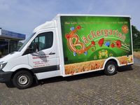 Gebraucht Mercedes Sprinter 163 PS (119 kW) 2017 Weiß Van