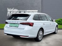 Gebraucht Skoda Octavia 150 PS (110 kW) 2025 Weiß Limousine