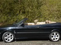 Gebraucht Saab 9-3 150 PS (110 kW) 2002 Schwarz Cabrio