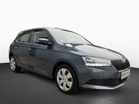 Gebraucht Skoda Fabia Ambition 60 PS (44 kW) 2021 Grau Limousine