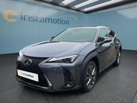 Gebraucht Lexus UX 184 PS (135 kW) 2024 Grau SUV