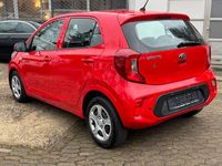 Gebraucht Kia Picanto Edition 7 84 PS (61 kW) 2018 Rot Kleinwagen