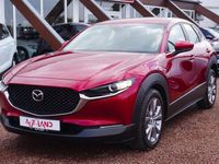 Gebraucht Mazda CX-30 Selection 122 PS (89 kW) 2022 Rot SUV