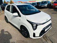 Gebraucht Kia Picanto Vision 67 PS (49 kW) 2024 (ud)clear white Kleinwagen