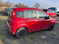 Gebraucht Fiat Panda 69 PS (50 kW) 2014 Rot Kleinwagen