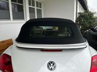 gebraucht VW Beetle Sport