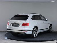 Brugt Bentley Bentayga 549 HK (403 kW) 2019 Hvid SUV