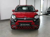 Gebraucht Fiat Panda 69 PS (50 kW) 2023 Rot Kleinwagen