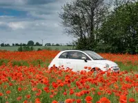 Gebraucht Fiat 500 69 PS (50 kW) 2016 Weiß Cabrio