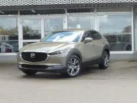 Neu Mazda CX-30 Exclusive-Line 186 PS (136 kW) 2026 Braun SUV