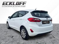 Gebraucht Ford Fiesta Trend 75 PS (55 kW) 2022 Frostweiss (weiß) Kleinwagen