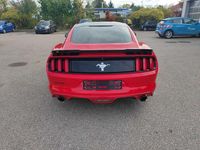 Gebraucht Ford Mustang Basis 317 PS (233 kW) 2016 Rot Coupé