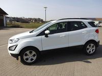 Gebraucht Ford Ecosport Cool & Connect 125 PS (91 kW) 2019 Frostweiß SUV