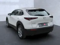 Gebraucht Mazda CX-30 Selection 122 PS (89 kW) 2023 Weiß SUV