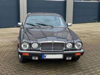 gebraucht Jaguar XJ Sovereign5.3 Automatik Sovereign