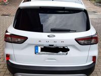 Usata Ford Kuga Titanium X 150 CV (110 kW) 2020 Bianco SUV