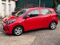Gebraucht Kia Picanto Edition 7 84 PS (61 kW) 2018 Rot Kleinwagen