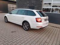 Gebraucht Skoda Octavia Drive 150 PS (110 kW) 2017 Weiß Kombi