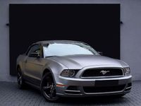 gebraucht Ford Mustang Cabrio Benzin/Lpg