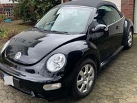 Gebraucht VW New Beetle Cabriolet 101 PS (74 kW) 2004 Schwarz Cabrio