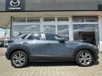 Gebraucht Mazda CX-30 Selection 179 PS (131 kW) 2020 Grau SUV