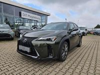Neu Lexus UX 300h Sport Design Packet 199 PS (146 kW) 2025 Norigrün SUV