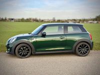 Usata Mini ONE 102 CV (75 kW) 2017 Verde Utilitaria