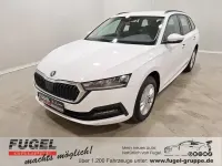 Gebraucht Skoda Octavia 150 PS (110 kW) 2023 Candyweiss Kombi