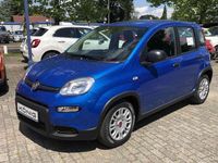 Gebraucht Fiat Panda 69 PS (50 kW) 2024 Blau Kleinwagen