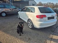 Gebraucht Audi A3 S-Line 105 PS (77 kW) 2011 Weiß Kleinwagen
