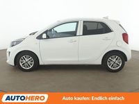 Gebraucht Kia Picanto Vision 67 PS (49 kW) 2024 Weiß Kleinwagen