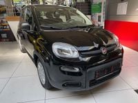 Neu Fiat Panda 69 PS (50 kW) 2026 Schwarz Kleinwagen
