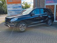 gebraucht Mercedes ML250 CDI BlueTEC 4 Matic Comand