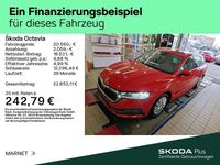 Gebraucht Skoda Octavia First Edition 150 PS (110 kW) 2020 Corridarot Kombi