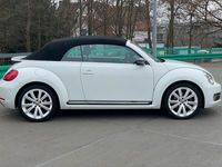 gebraucht VW Beetle Sport