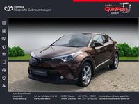 Gebraucht Toyota C-HR Basis 116 PS (85 kW) 2016 Havanna braun metallic SUV