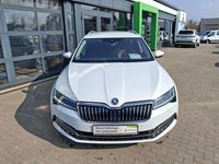 Gebraucht Skoda Superb 190 PS (139 kW) 2019 Moonweiß perleffekt Kombi