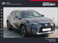 Gebraucht Lexus UX 250h 184 PS (135 kW) 2023 Obsidiangrau metallic SUV