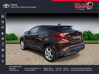 Gebraucht Toyota C-HR Basis 116 PS (85 kW) 2016 Havanna braun metallic SUV