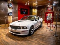 Gebraucht Ford Shelby 305 PS (224 kW) 2007 Weiß