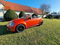 gebraucht VW Beetle The Cabriolet 2.0 TDI Blue Motion Technolog Sport