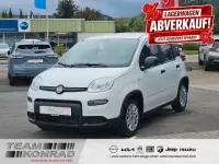 Gebraucht Fiat Panda 69 PS (50 kW) 2024 Weiss Kleinwagen