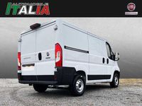 Gebraucht Fiat Ducato 120 PS (88 kW) 2024 Weiß Van