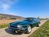 Gebraucht Jaguar XJS 300 PS (220 kW) 1994 Grün