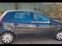 gebraucht Fiat Punto 1.2 8V Ciao Ciao